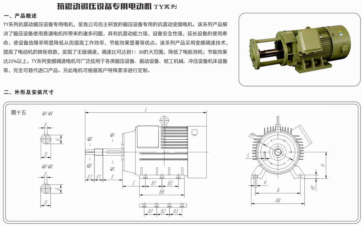 抗震動鍛壓設(shè)備專用電動機(jī)  TY系列 01